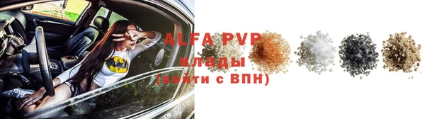 сатива Новокубанск