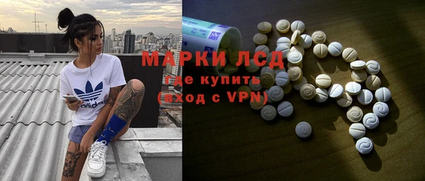 сатива Новокубанск