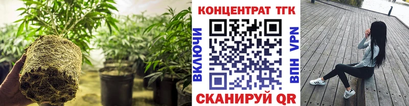 ТГК гашишное масло  цена наркотик  Вытегра 
